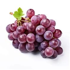 UVAS 1x10KG