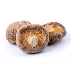 SETAS SHITAKE 3KG/BOLSA.