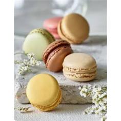 MACARONS 12gr 6 SABORES 72UDES/CJ