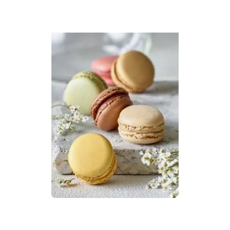MACARONS 12gr 6 SABORES 72UDES/CJ
